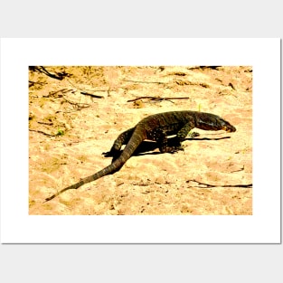 The Goanna Walk! Posters and Art